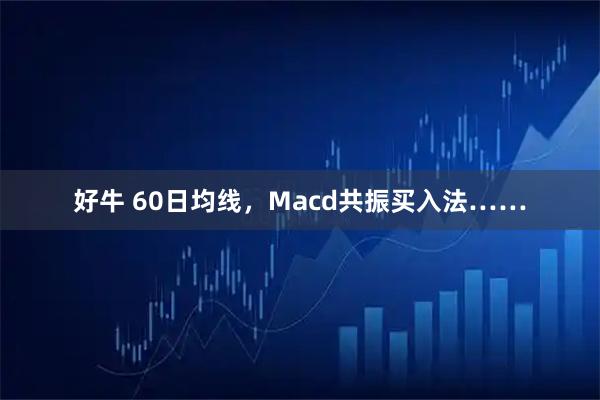 好牛 60日均线，Macd共振买入法……