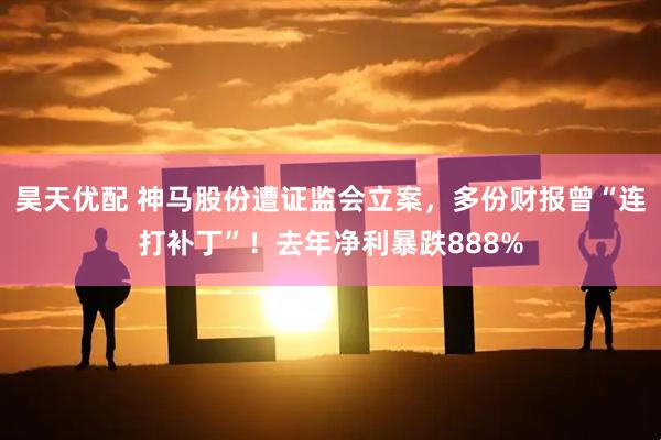 昊天优配 神马股份遭证监会立案，多份财报曾“连打补丁”！去年净利暴跌888%